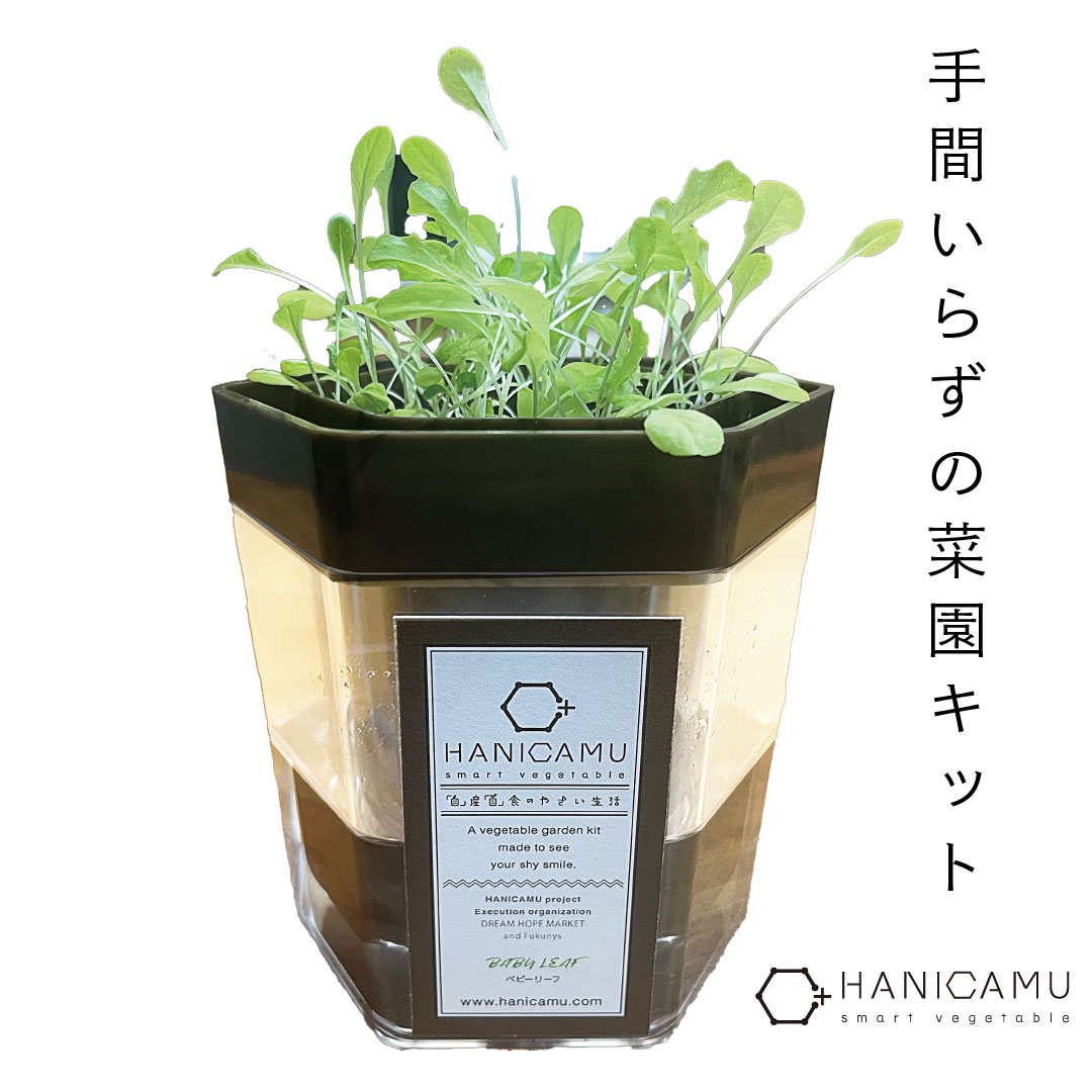 HANICAMU菜園キット