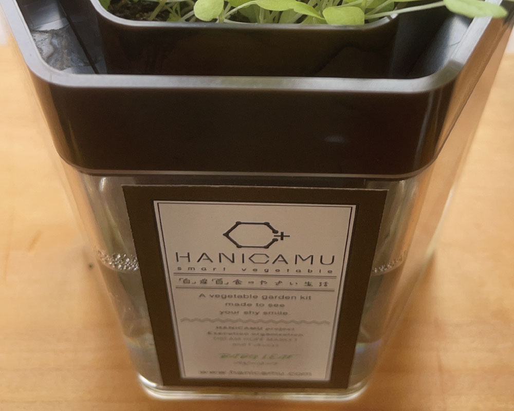 広告面を備えたHANICAMUポット