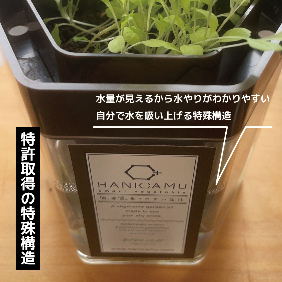 企業PRに使えるHANICAMU