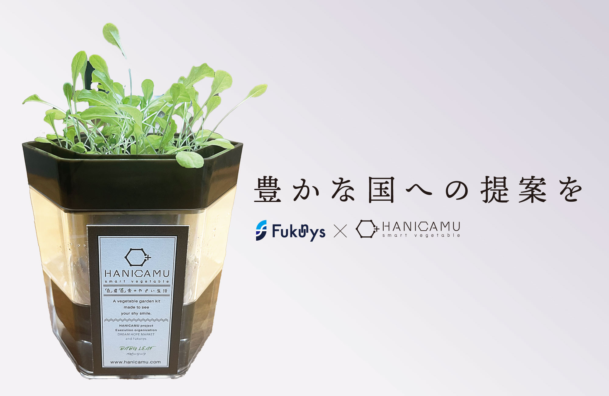 ハニカムポット